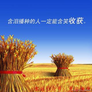 讓你日入一萬的秘密，淺談小峰創(chuàng)業(yè)匯對付出的看法