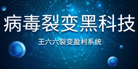 王六六裂變盈利系統(tǒng)課程第六課，病毒裂變黑科技