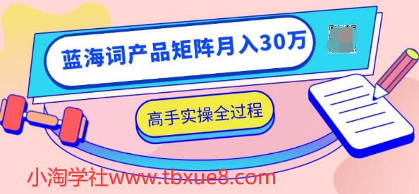 2020最新無貨源店群項(xiàng)目，藍(lán)海詞產(chǎn)品矩陣月入30萬，高手實(shí)操全過程（視頻教程）