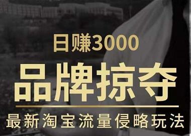 日賺3000+品牌店群，最新淘寶流量侵略玩法（官方售價3600元）