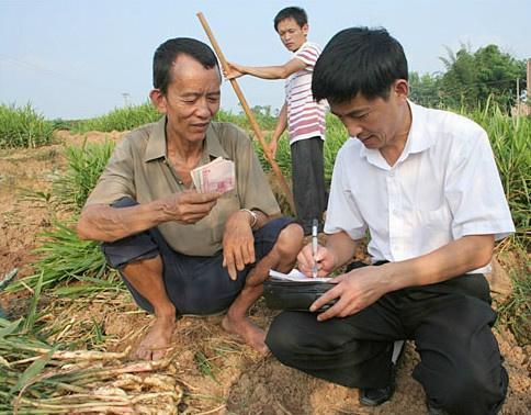 創(chuàng)業(yè)課堂分享未來農(nóng)村幾個賺錢項目，能賺錢還有補貼拿，農(nóng)民不妨試試