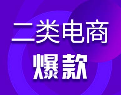 聊一個小眾的電商項目——二類電商，類似1688無貨源，但重廣告投放。,qq群營銷