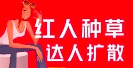 引流,上班族月入6000+小紅書引流賺錢副業(yè)項目，拆解視頻號簡單粗暴玩法！