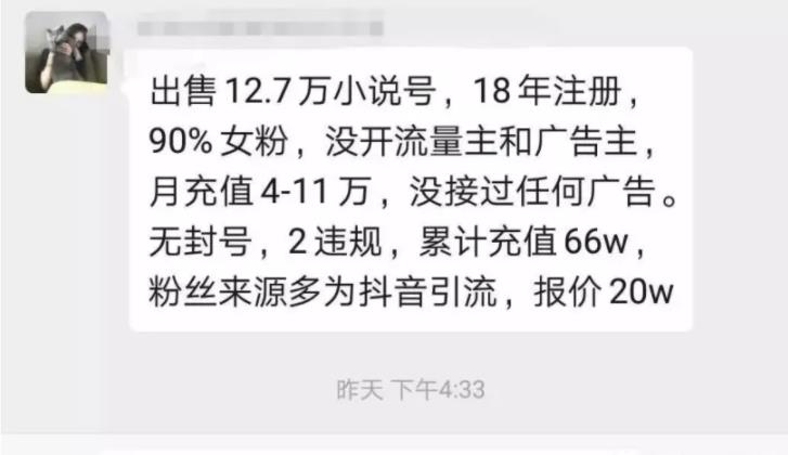 小說分銷暴利賺錢項目，日引萬粉的另類玩法,暴利