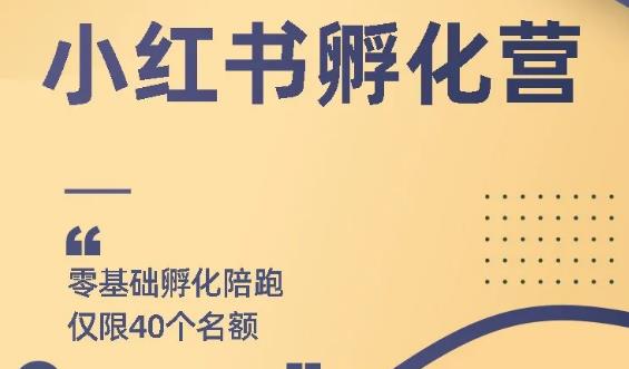 勇哥小紅書擼金快速起量項目：教你如何快速起號獲得曝光，做到月躺賺在3000+,網(wǎng)賺項目是什么意思