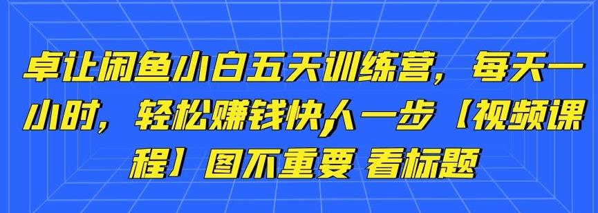 卓讓閑魚小白五天訓(xùn)練營，每天一小時，輕松賺錢快人一步【視頻課程】