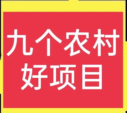 鄉(xiāng)鎮(zhèn)生意大全，九個農(nóng)村鄉(xiāng)鎮(zhèn)好項目，建議收藏