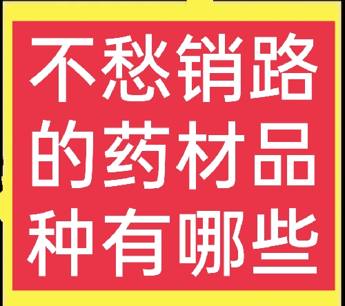 銷路好的短期種植，農(nóng)村種植哪些藥材比較簡(jiǎn)單，不愁銷路？這五種值得一試