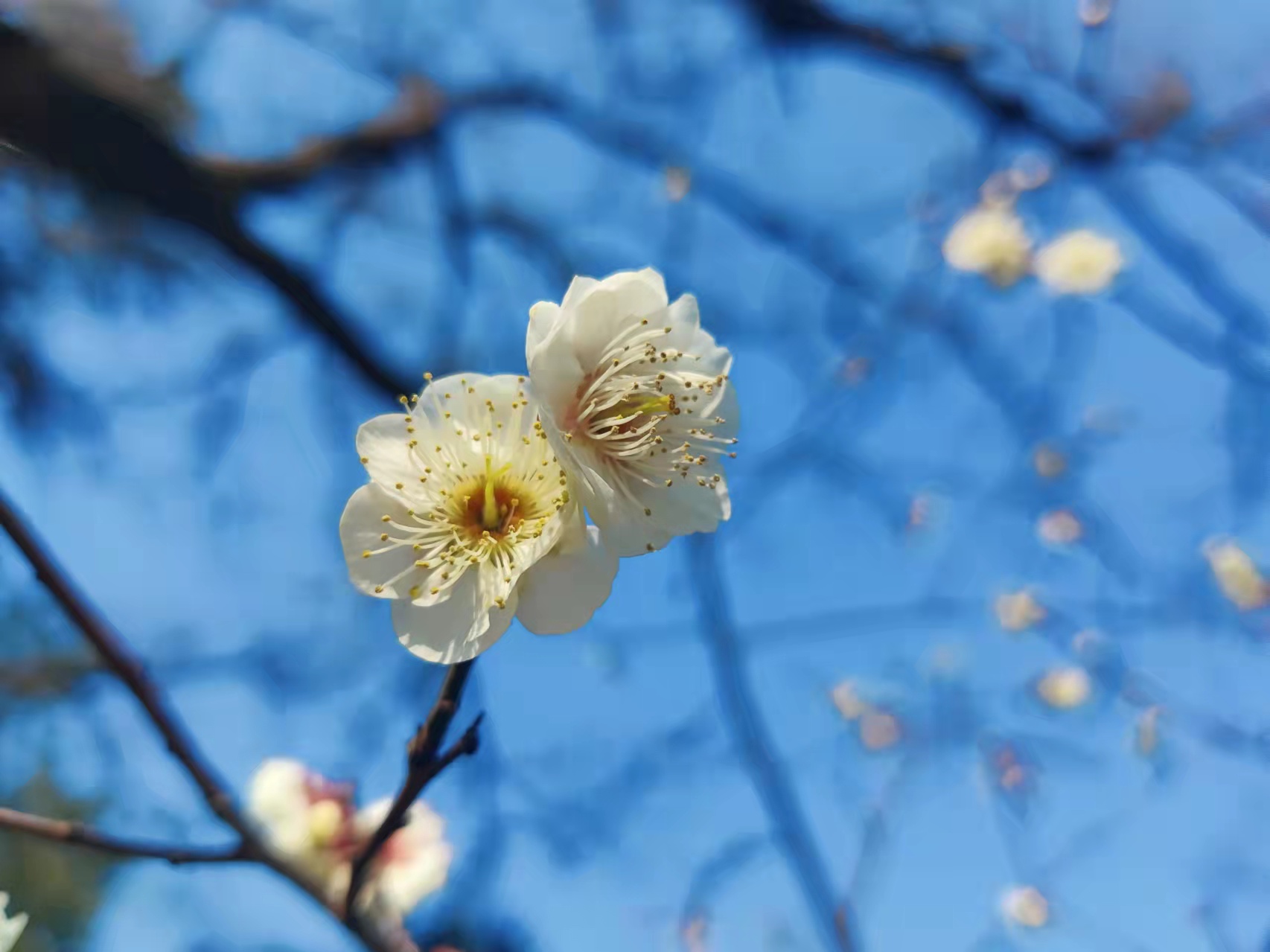 工作中心態(tài)的重要性，職場人應(yīng)避免的6種職場心態(tài)都是什么